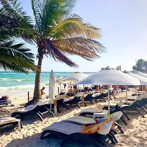 Silversands Boutique - 5th Ave 5*, Playa del Carmen Mexique